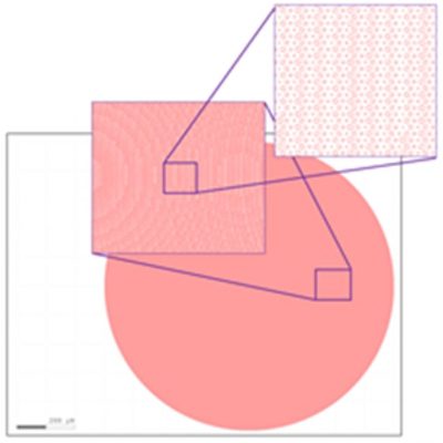 Figure 4: GDS layout of the 1-mm metalens | °ϲʿ