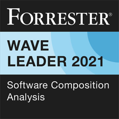 Forrester Wave Leader for SCA