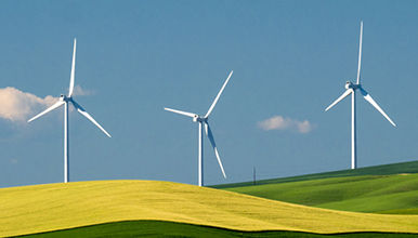 ' Sustainability Efforts Grow: Azure Sky Wind Farm?