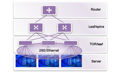 Diagram of 25G Ethernet Network Architecture