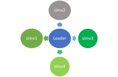 distributed simulation in  VCS