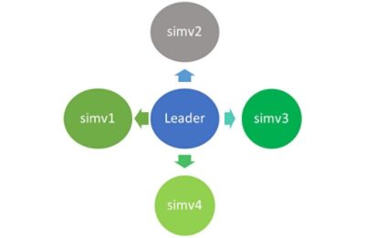 distributed simulation in ϲֱ VCS