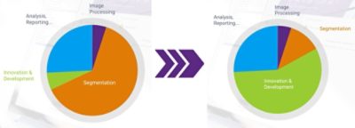 3D Image Segmentation Chart | Synopsys