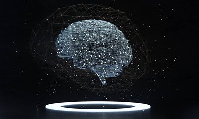 brain image