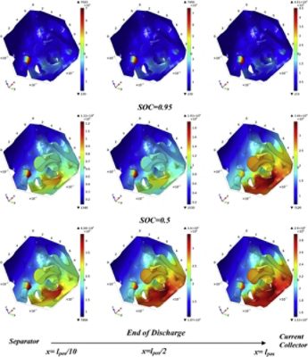 Distribution of lithium concentration inside electrode microstructure