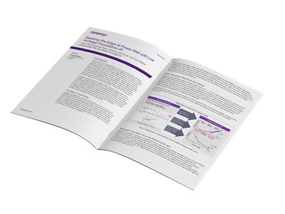 Synopsys Secure Storage Solution for OTP IP