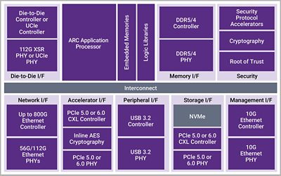 DesignWare IP for Servers