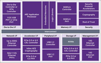 DesignWare IP for Servers