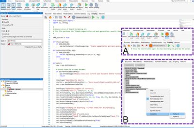 The Simpleware scripting interface