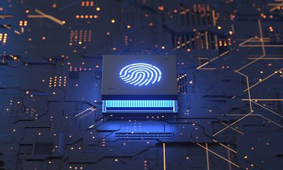 Fingerprint Identification for Security on Circuit Board