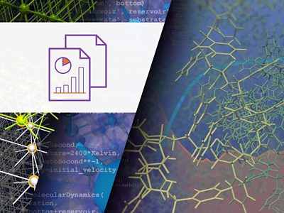 Polymer Simulations