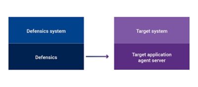 Defensics Agent Instrumentation Framework Setup Diagram on  Software Security Blog