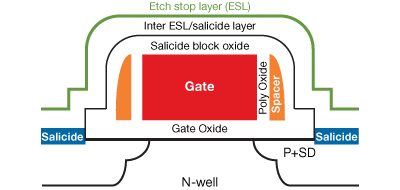 Diagram of Semiconductor Gate Structure in NVM Technology