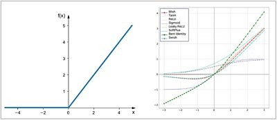 The left image shows ReLU, a computationally efficient, non-saturating, non-linear activation function used in many early CNNs. The right image shows just some of the activation functions that need to be support by the latest NPUs. 