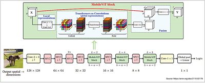 MobileViT：轻量、通用和移动友好型视觉转换器