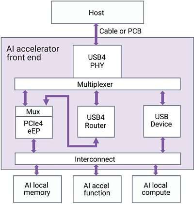 Diagram for USB4 Port Setup and Connections