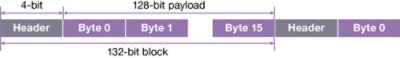 Diagram of USB Physical Layer 132-Bit Block Structure