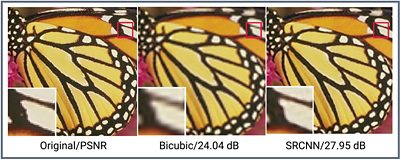 Comparison of Super-Resolution Techniques on Butterfly Image