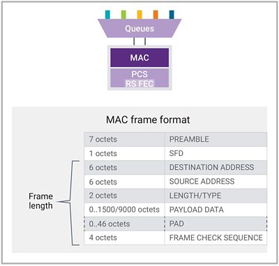 MAC frame format and Length: An Octet Breakdown