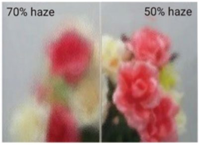 The higher the percentage, the more blurred the image will be.