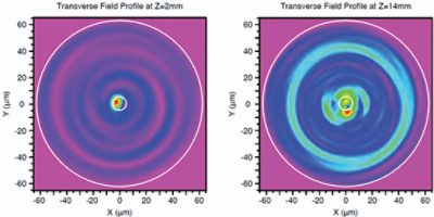 Cross-sectional field profiles at different propagation distances | °ϲʿ