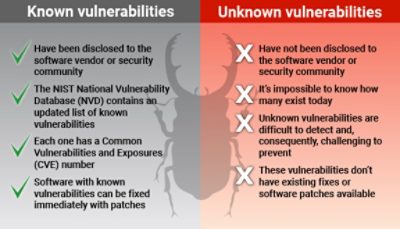 Comparative Chart Illustrating Known Versus Unknown Software Security Vulnerabilities