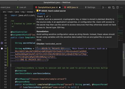 Synopsys Code Sight Detecting Hard-Coded Secrets in VS Code for Software Security Breach Prevention