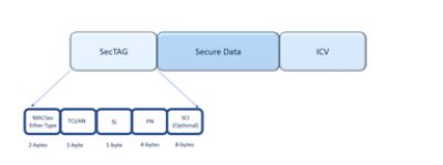 MACSec over Ethernet security diagram