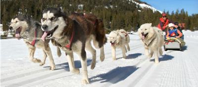 How to mitigate third-party security risks