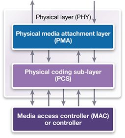 <p>ϲֱ' DesignWare? Multi-Protocol 112G, 32G, 25G PHY, 16G PHY, 10G PHY and 6G PHY enable designers to meet the growing needs for higher bandwidth, lower power and support for multiple interfaces in enterprise and consumer applications. Architected to address growing performance/power trade-off challenges, the silicon-proven multi-protocol PHYs allow designers to easily integrate multiple protocols and electrical specifications, including PCI Express, Compute Express Link (CXL), Cache Coherent Interconnect for Accelerators (CCIX), SATA, Ethernet, and other industry-standard interconnect protocols, into their system-on-chips (SoCs).</p>
