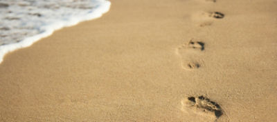 AngularJS 1.6: Life outside the sandbox