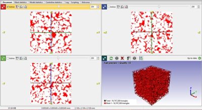 Visualization and segmentation of micro-CT data in Simpleware ScanIP