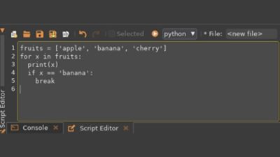 python script editor