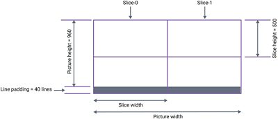 DSC DisplayPort Compression Schematic Diagram