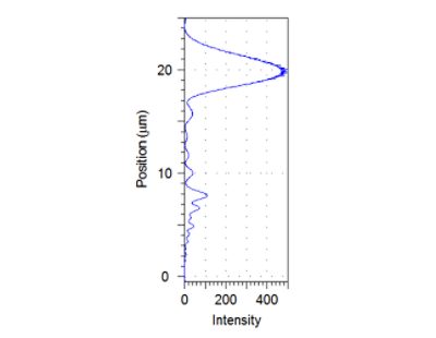 Figure 3. Intensity along the center | °ϲʿ