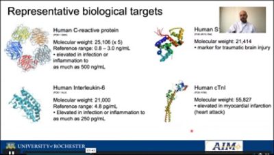 Representative Biological Targets