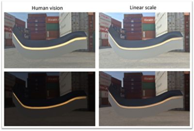 Human vision and linear scale picture comparisons | Synopsys