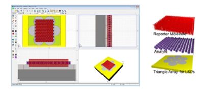 A mimic structure for surface-enhanced Raman sensor | °ϲʿ