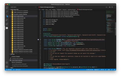 Synopsys Code Sight Running Rapid Scan Static in VS Code for Finding Hard-Coded Secrets