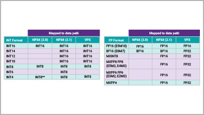 Emerging Narrow Precision Data Types for Embedded AI