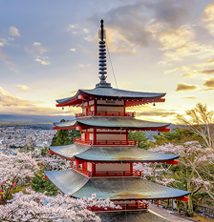 SNUG Japan