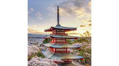 SNUG Japan