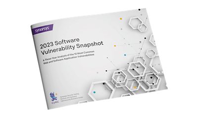 Software Vulnerability Snapshot