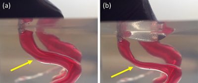 PDMS phantom model of blood vessels (CC BY 4.0)