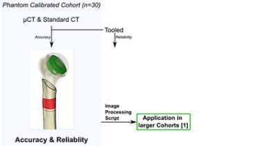 Illustration of the analysis method to verify 3D CT bone density measures