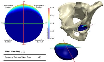 Shape Modeling