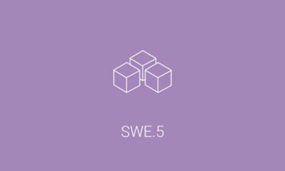 swe.5 icon