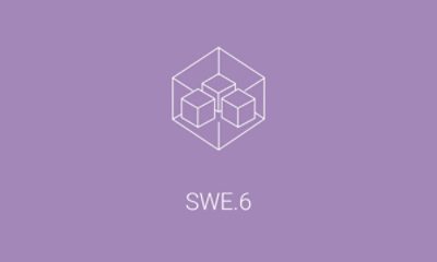 swe.6 icon