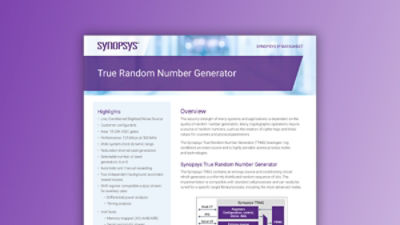 True Random Number Generator – Datasheet | Synopsys