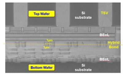 Wafer of Wafer Solution